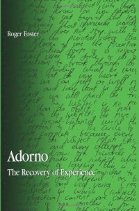 cover of the book Adorno: The Recovery of Experience