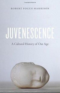 cover of the book Juvenescence : a cultural history of our age