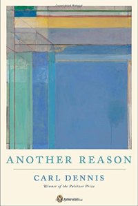 cover of the book Another reason