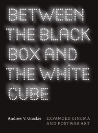 cover of the book Between the black box and the white cube : expanded cinema and postwar art