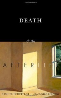 cover of the book Death and the afterlife