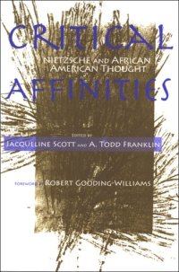 cover of the book Critical Affinities : Reflections on the Connections Between Nietzsche and African American Thought