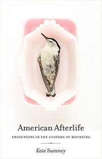 cover of the book American afterlife : encounters in the customs of mourning