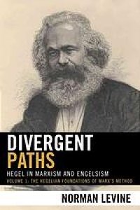 cover of the book Divergent Paths: Hegel in Marxism and Engelsism