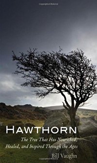 cover of the book Hawthorn : the tree that has nourished, healed, and inspired through the ages