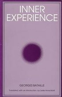 cover of the book Inner experience