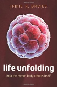 cover of the book Life unfolding : how the human body creates itself