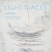 cover of the book Light traces