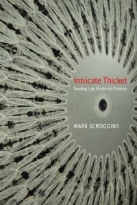 cover of the book Intricate thicket : reading late modernist poetries