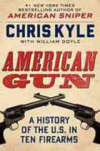 cover of the book American gun : a history of the U.S. in ten firearms