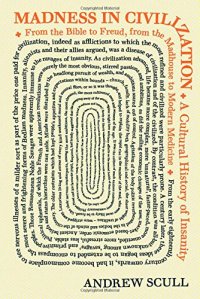 cover of the book Madness in civilization : a cultural history of insanity, from the Bible to Freud, from the madhouse to modern medicine