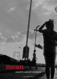 cover of the book Mean