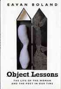 cover of the book Object lessons : the life of the woman and the poet in our time