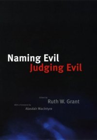 cover of the book Naming evil, judging evil