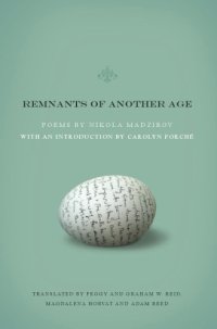 cover of the book Remnants of Another Age