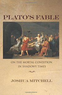 cover of the book Plato's fable : on the mortal condition in shadowy times