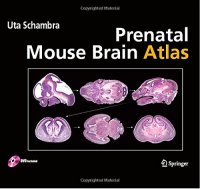 cover of the book Prenatal Mouse Brain Atlas: Color images and annotated diagrams of: Gestational Days 12, 14, 16 and 18 Sagittal, coronal and horizontal section