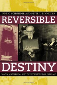 cover of the book Reversible destiny : mafia, antimafia, and the struggle for Palermo