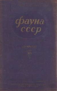 cover of the book Семейство Sarcophagidae