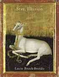 cover of the book Stay, illusion