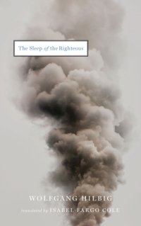 cover of the book The sleep of the righteous