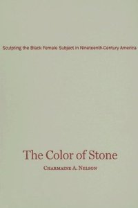 cover of the book The color of stone : sculpting the black female subject in nineteenth-century America