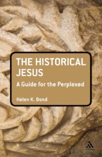 cover of the book The historical Jesus : a guide for the perplexed