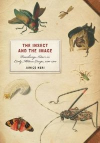 cover of the book The insect and the image : visualizing nature in early modern Europe, 1500-1700