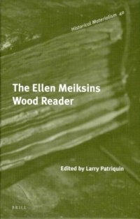 cover of the book The Ellen Meiksins Wood reader