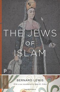 cover of the book The Jews of Islam