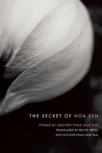 cover of the book The secret of Hoa Sen