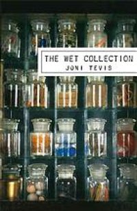 cover of the book The wet collection