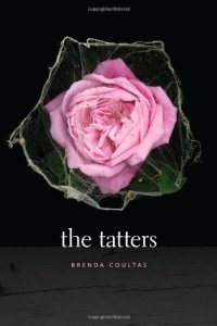 cover of the book The tatters