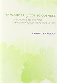 cover of the book The wonder of consciousness : understanding the mind through philosophical reflection