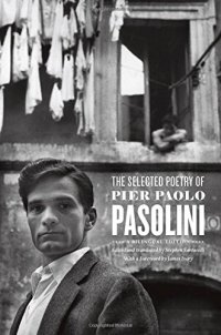 cover of the book The Selected Poetry of Pier Paolo Pasolini: A Bilingual Edition