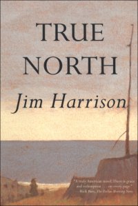 cover of the book True North