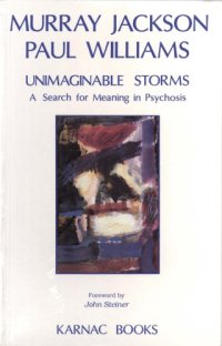 cover of the book Unimaginable storms : a search for meaning in psychosis