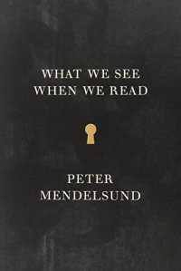 cover of the book What we see when we read : a phenomenology ; with illustrations