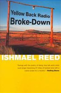 cover of the book Yellow back radio broke-down