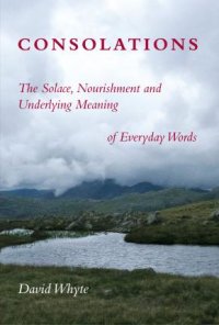 cover of the book Consolations: The Solace, Nourishment and Underlying Meaning of Everyday Words