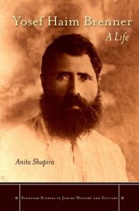 cover of the book Yosef Haim Brenner : a life