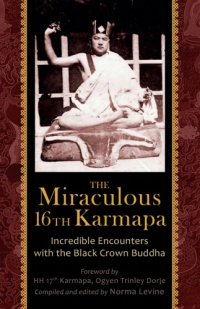 cover of the book The Miraculous 16th Karmapa: Incredible Encounters with the Black Crown Buddha