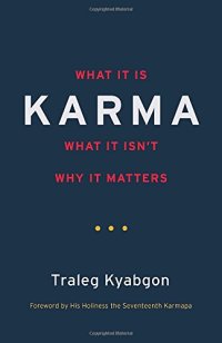 cover of the book Karma: What It Is, What It Isn't, Why It Matters