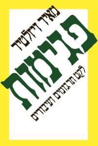 cover of the book פגימות