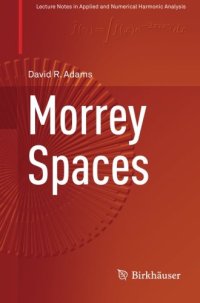 cover of the book Morrey Spaces