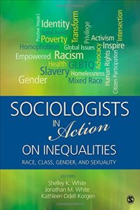 cover of the book Sociologists in Action on Inequalities: Race, Class, Gender,  and Sexuality