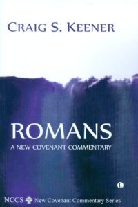 cover of the book Romans : a new covenant commentary