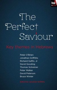 cover of the book The Perfect Saviour