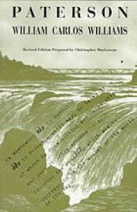 cover of the book Paterson