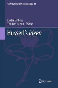 cover of the book Husserl's Ideen